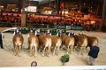 IMG_0020