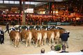 IMG_0021