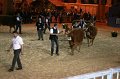 IMG_0022