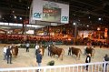 IMG_0034