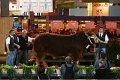 IMG_0041