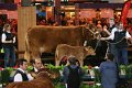 IMG_0042