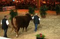 IMG_0046