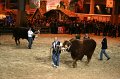 IMG_0047