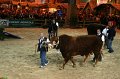 IMG_0048
