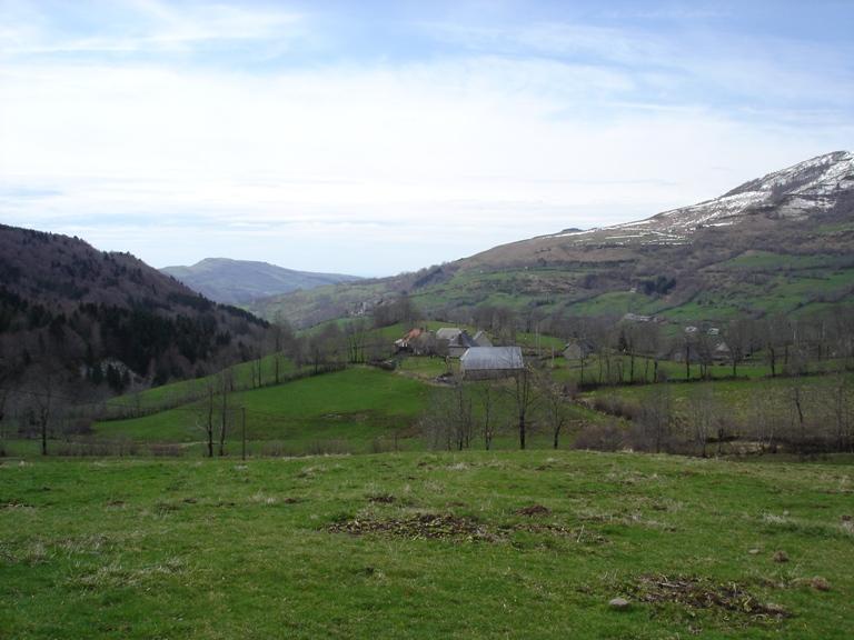 DSC00760.JPG