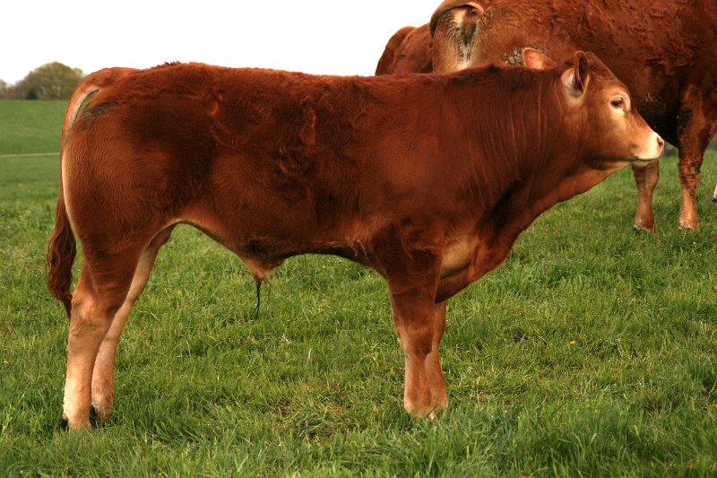 7253-6.JPG
